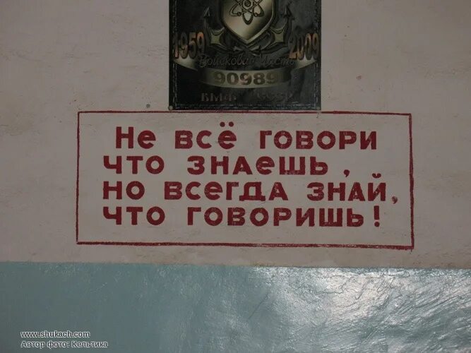 Вы говорите что знаете меня. Затевая ссору с женщиной помните. Пусть гуляет он тепло одет. Вот не знаете а говорите. Смешные коты с подписями.