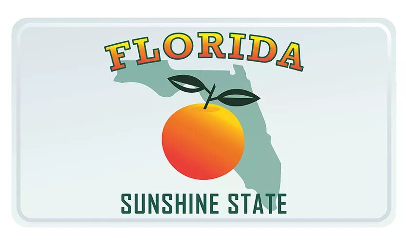 Adidas Sunshine Florida State. Sunshine FL. Plate Florida State of the Art.