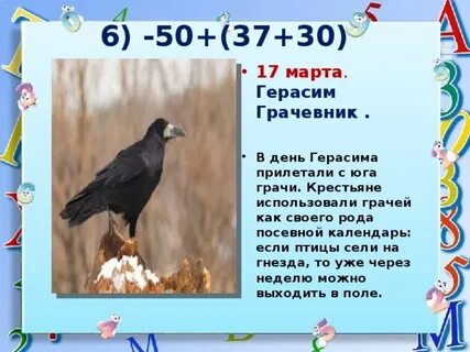День герасима
