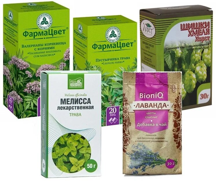 Какие травы успокаивающие нервную систему. Какие травы успокаивающие нервную систему. Травы для успокоения нервов. Сборы трав для успокоения. Успокоительные на травяной основе.