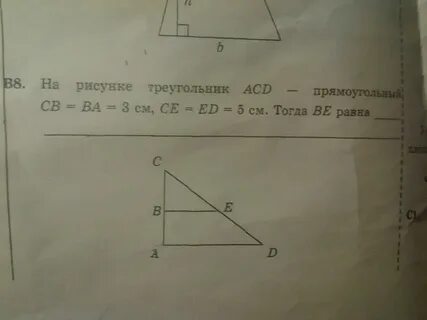 Найдите площадь треугольника acd