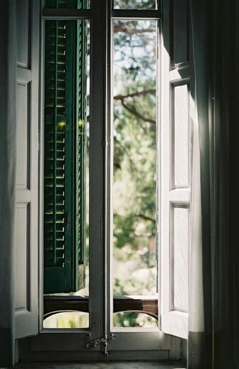 Who opened window