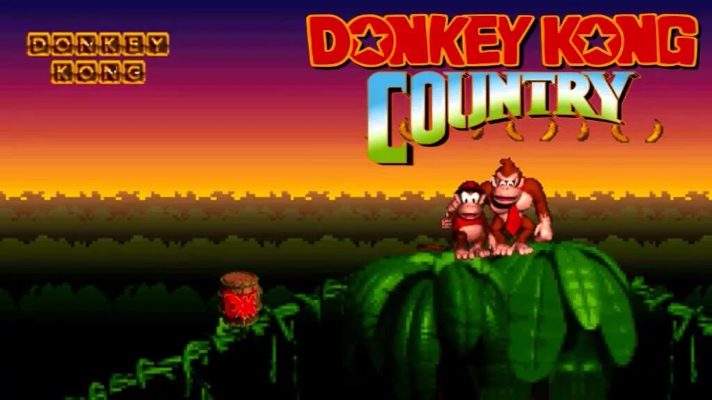 Dk страна. Donkey Kong Country super Nintendo. Donkey Kong Country Nintendo. Donkey Kong Country 1994. Donkey Kong Country Snes обложка.