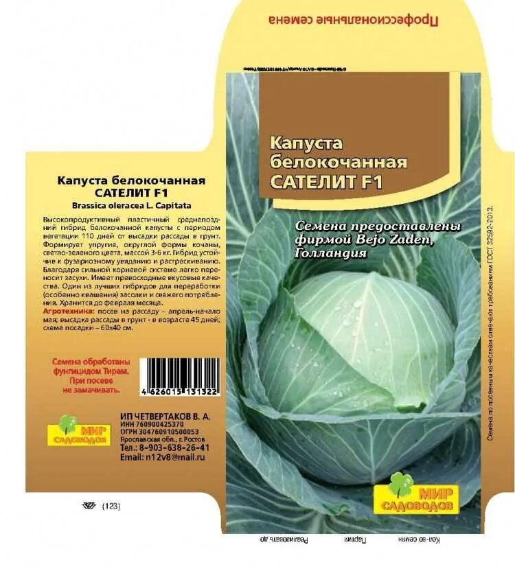 Капуста Слава: описание сорта 1305 и Грибовская 231, характеристика урожайности,