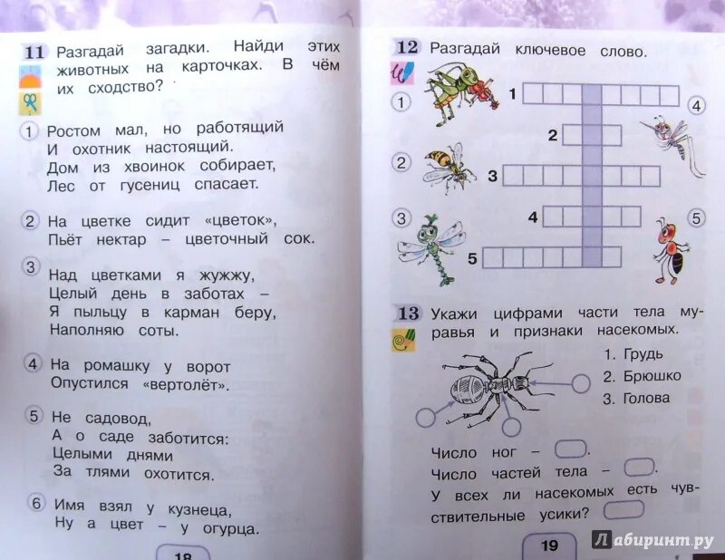 Поглазова окр мир. Окружающий мир 1 класс задания. Задания по окруж миру 1 класс. Окружающий мир задание про класс. Окружающий мир Поглазова 1 класс.