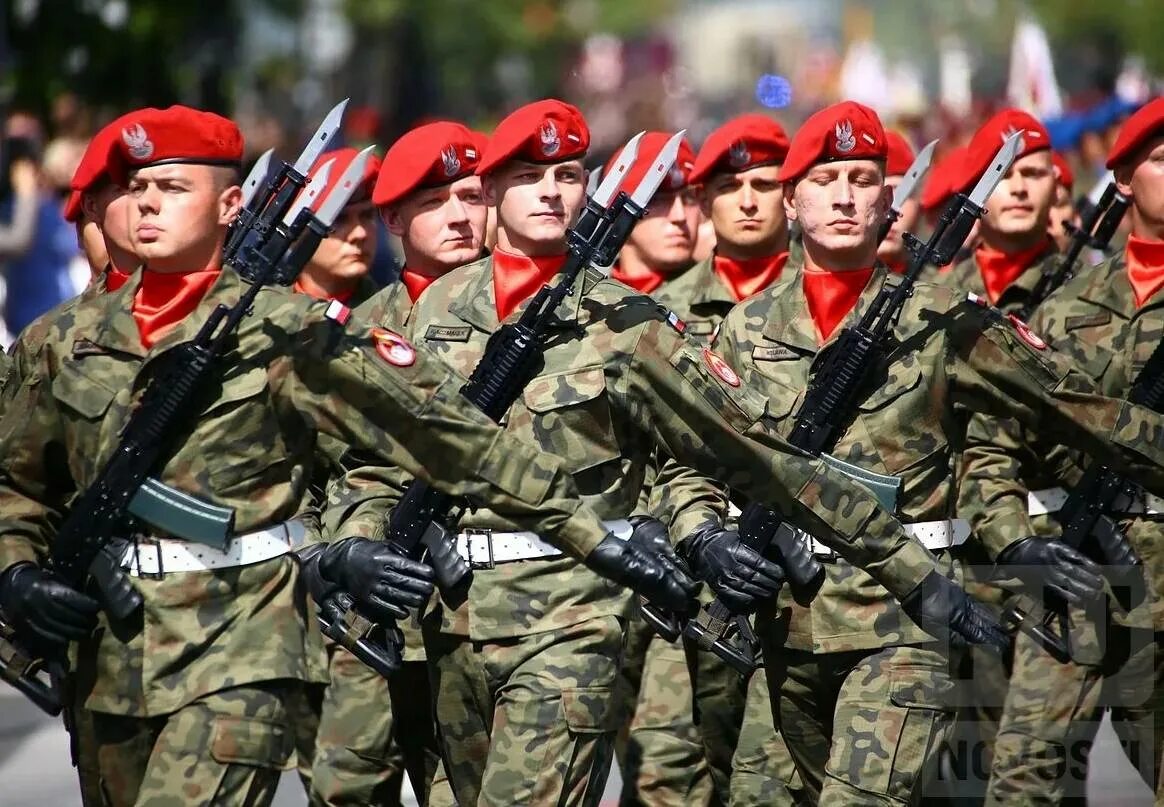 Войско польское сегодня. Армия польши 2020. Польские военные. Солдаты чехии. Польские солдаты.
