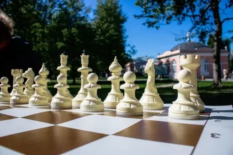 Шахматный день