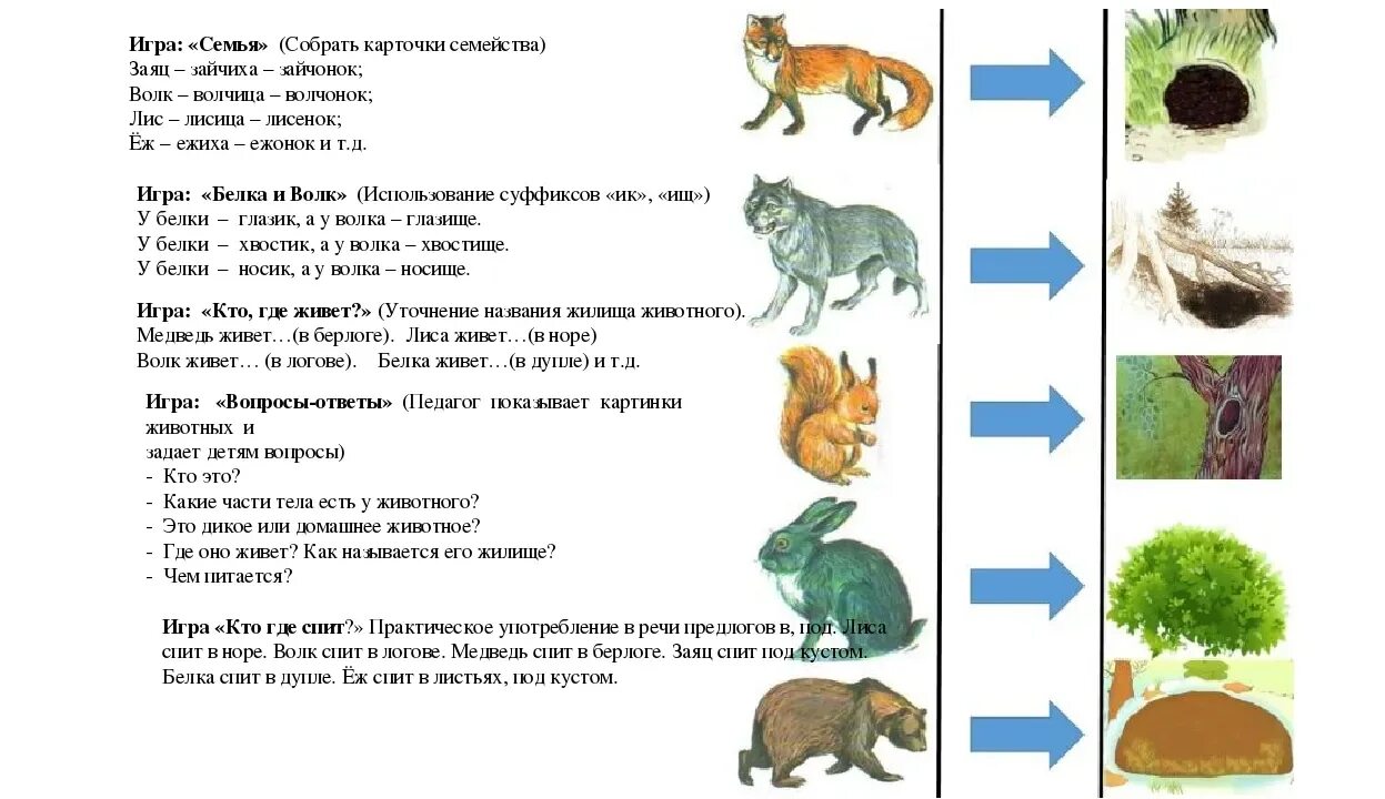 Задания на тему Дикие животные. Лесные животные задания. Лесные животные задания для детей. Лексическая тема Дикие животные. Средняя группа занятие мир животных