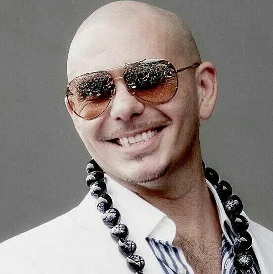 Pitbull Photostream Pitbull the singer, American music awards, Pitbull rapper