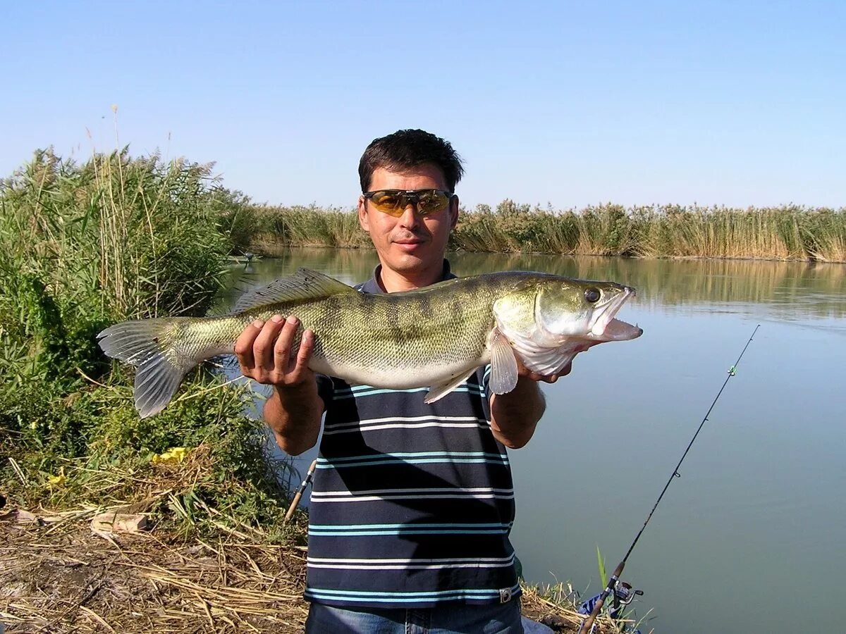 Чемпион по рыбалке. Черноморец рыбалка саратов. Рыбалка в апреле. Синеоковка украина село. Село свидивок черкасская область.