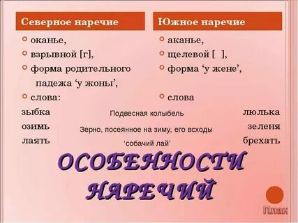 Основные группы общеупотребительных слов