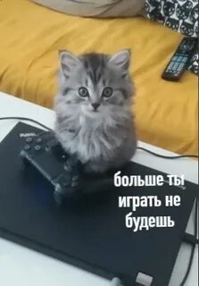 Пока случай