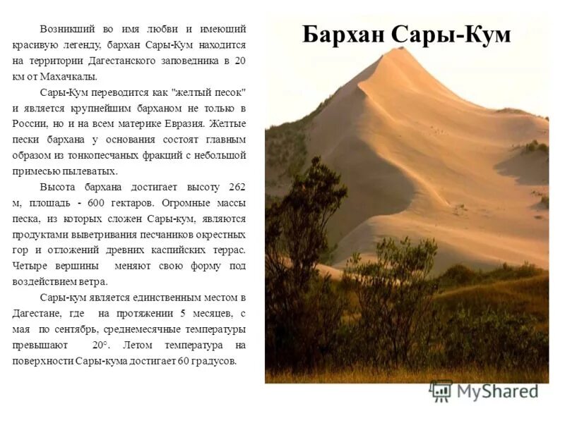 Как переводится кум. Заповедник в Дагестане Бархан Сарыкум. Сарыкум Бархан легенды. Дагестанский заповедник Бархан Сарыкум описание. Бархан Сарыкум с описанием.