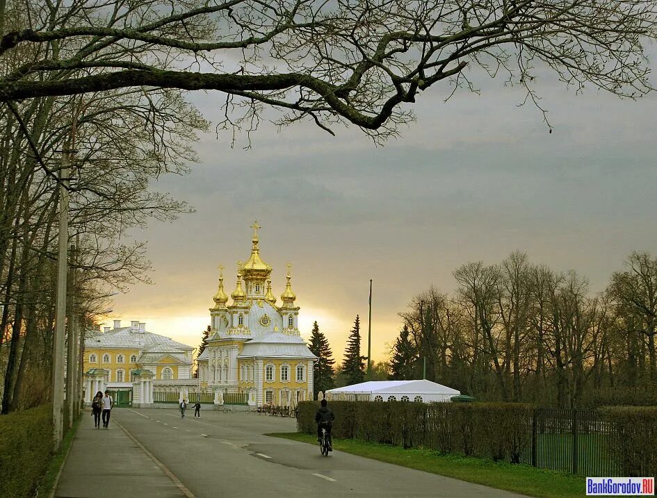 Петергофская улица петергоф. Петергоф город улицы. петергофская улица в петергофе. город петергоф обычные здешние улицы. город петродворец фото улиц.