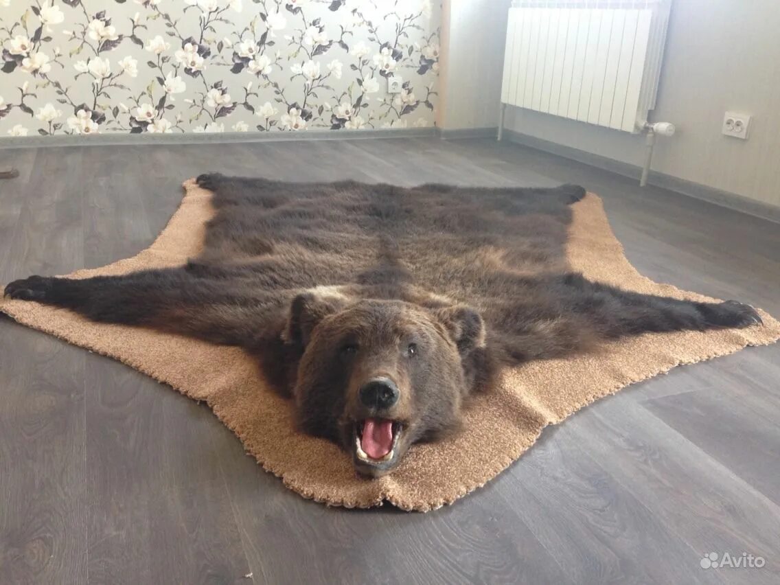Шкуры животных в интерьере. Медведь ковров. Коврик из шкуры медведя. Выделанная шкура медведя. Шкура медведя.