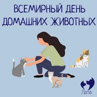 День владельцев животных