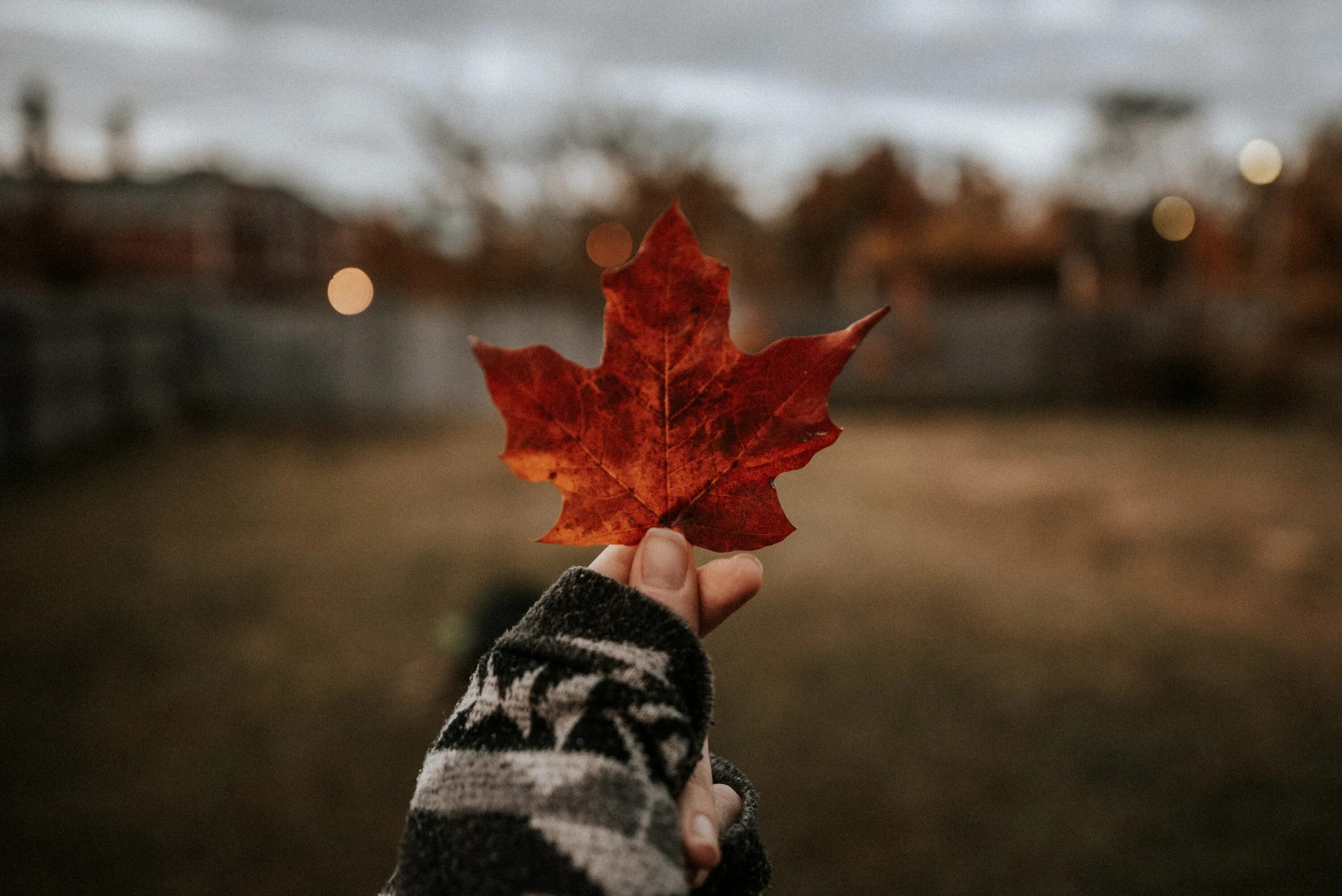 Да что говорить каждый осенний лист. Кленовый лист в руке. Осенняя листва. Лист в руке осень. Осенние листочки в руках.
