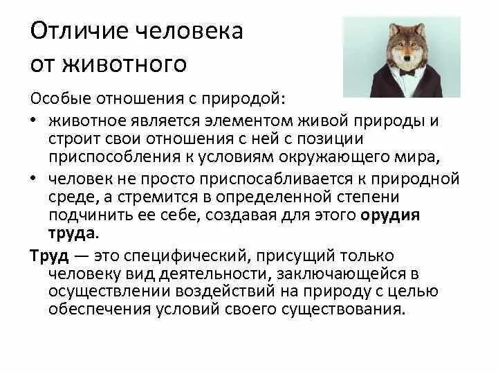 2 отличия человека от животных. 2 отличия человека от животных