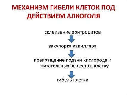 Как происходит гибель клетки