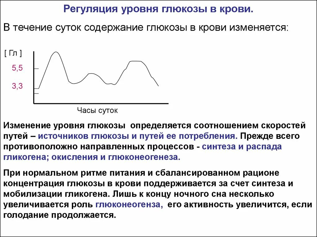 В течение часа направлю. Изменение уровня Глюкозы в крови в течение суток. Изменение концентрации Глюкозы в крови в течение суток. Регуляция уровня Глюкозы в крови. Сахара крови в течение суток.