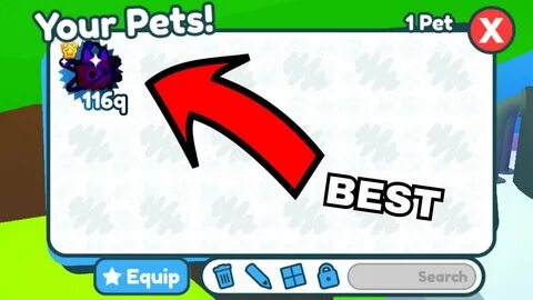 Shiny pets