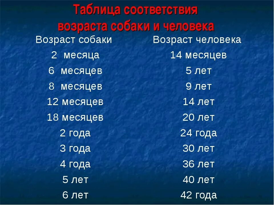 Мерки жизни собак. Собачий Возраст на человеческий таблица. Возрастная таблица собак по отношению к человеческому возрасту. Возраст собаки и человека соотношение таблица. Соотношение возраста собаки и человека по годам таблица.