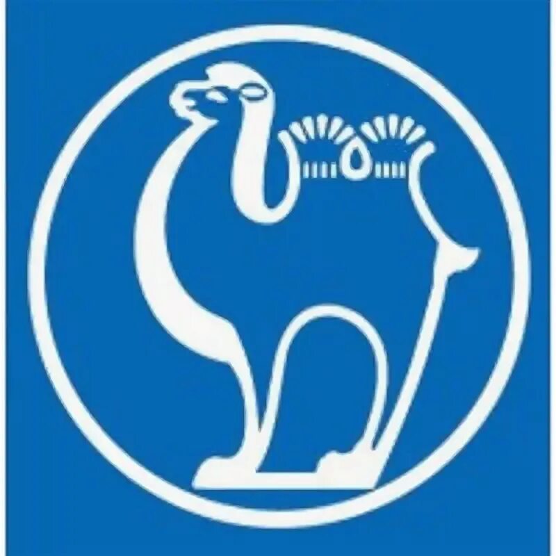 Camel group. Группа camel. camel battery.