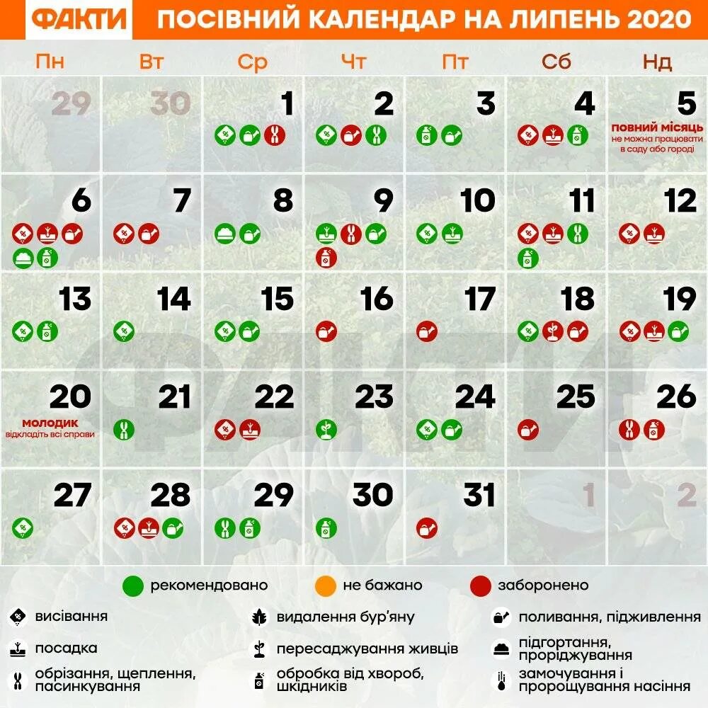 Лунный календарь огородника июль. 2020 Год по лунному календарю. Благоприятные дни для уборки. Благоприятные дни в июле. Посадочные дни в июле.