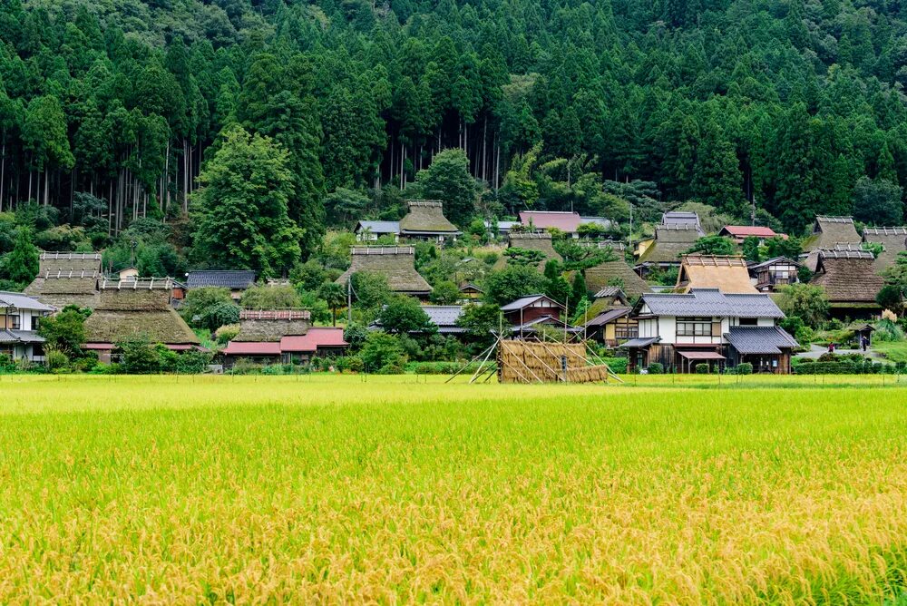 Japanese village. Японская деревня. Япония Сельская местность. Маленькие деревни в Японии. Японская деревня в Москве.