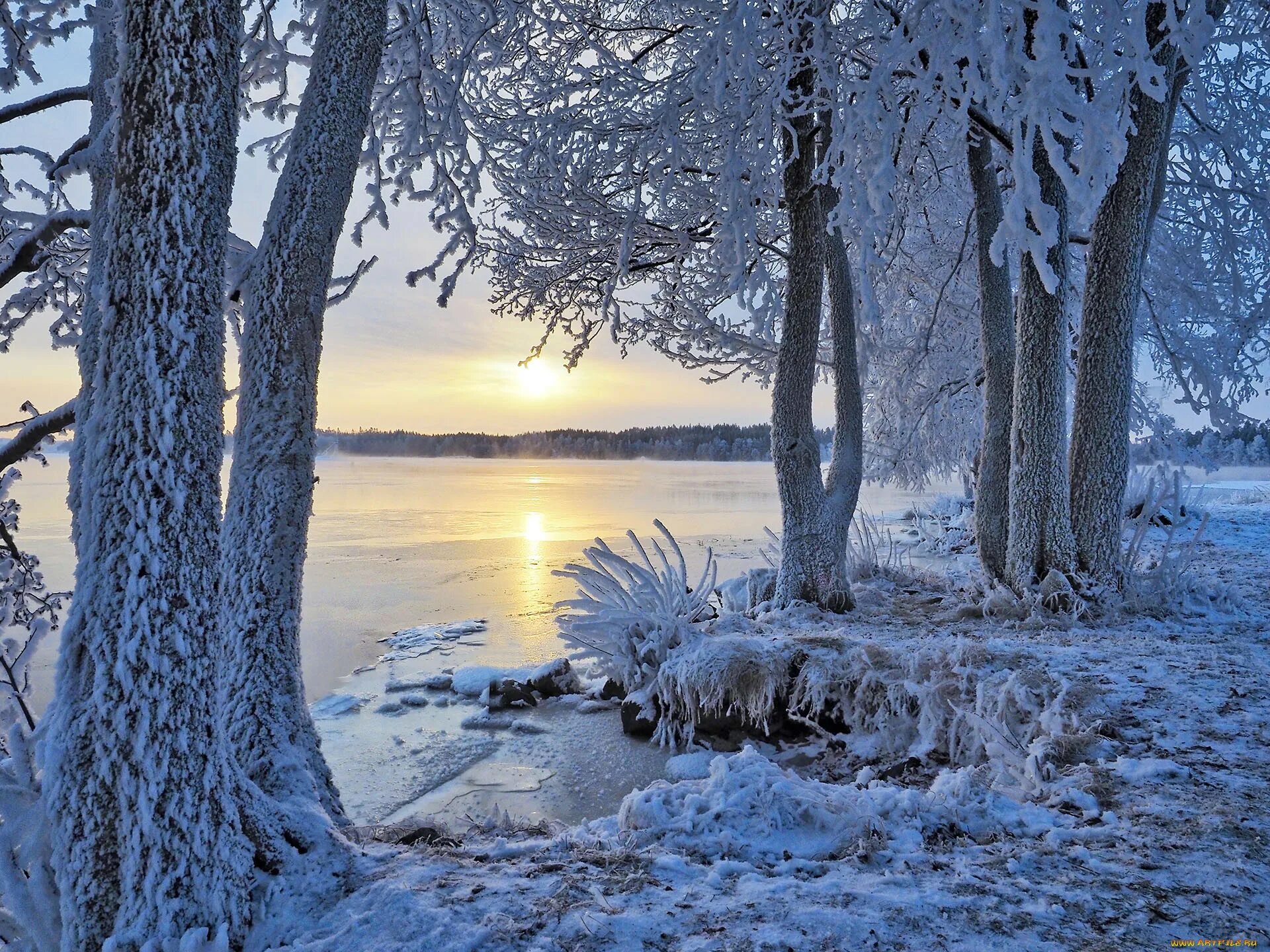 Финляндия январь. Чудское озеро зима. Зимний пейзаж. Зимняя природа. Красивая зима.