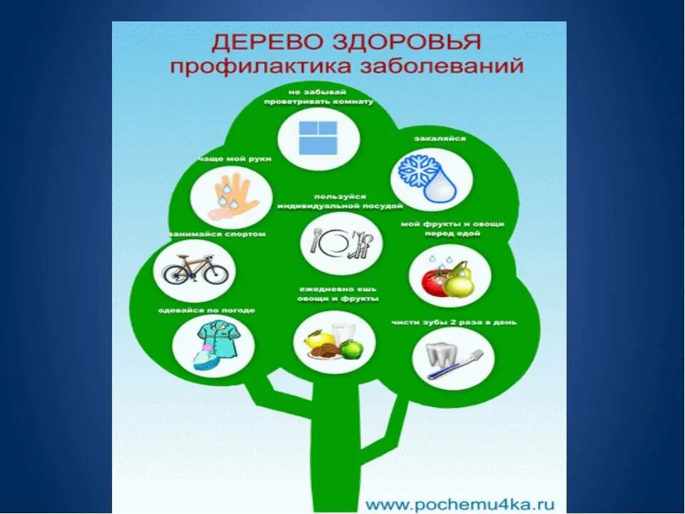 Профилактика здорового образа жизни. Здоровье дошкольника. Дерево здоровья. ЗОЖ дерево здоровья.