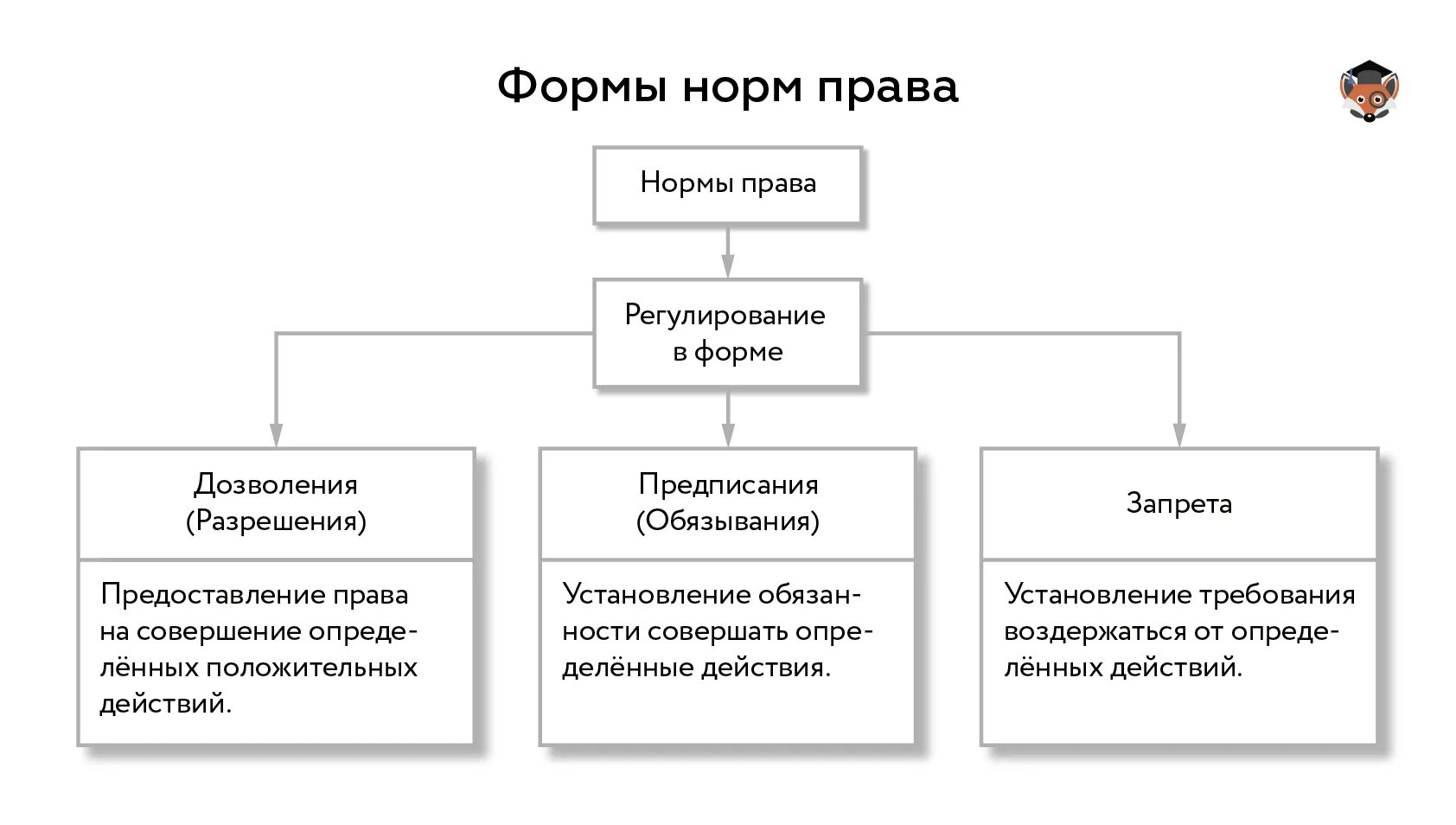 Многообразие норм