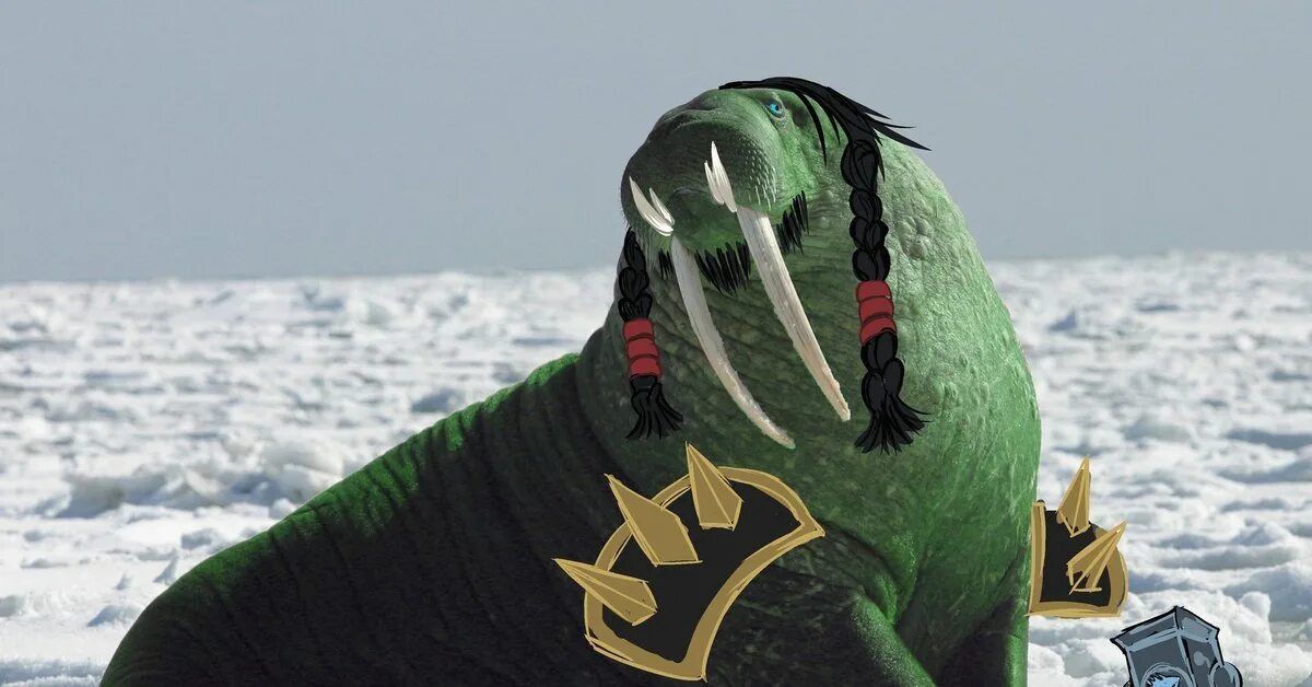 Морж фото для детей. Морж фрея норвегия. Тихоокеанский морж (odobenus rosmarus divergens). Лаптевский морж. Odobenus rosmarus.