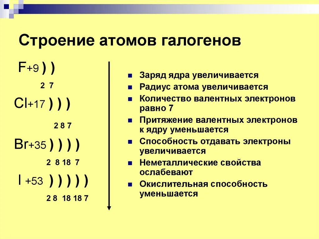 Внешние энергетические уровни фтора. F+9)) химия строение атомов. Электронная схема галогена 2 8 18 7. Строение атома и число электронов. Строение атома фтора 9 класс.