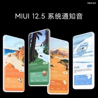 Miui 12.5 сайт