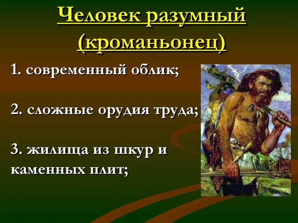 Человек разумный