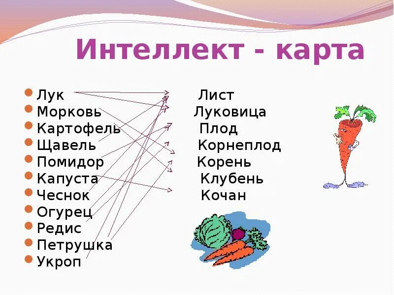 Части растений употребляемые в пищу. Какие части растений употребляют в пищу. Какие части растения употребляют в пищу у МО. Какие части растений употребляют в пищу у моркови.