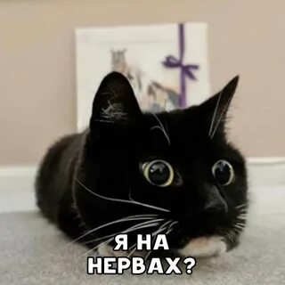 Не смотрите на нервах