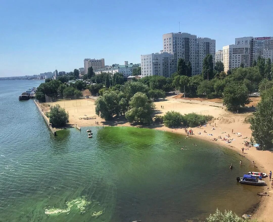 Саратов Волга зацвела. Цветение Волги в Саратове. Волга цветет Камышин. Энгельс Волга цветет. Температура волга саратов сегодня