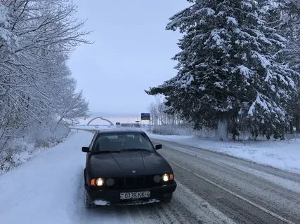 Камилла Коробейникова жалаңаш