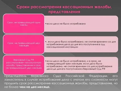 Кассационная инстанция административного судопроизводства