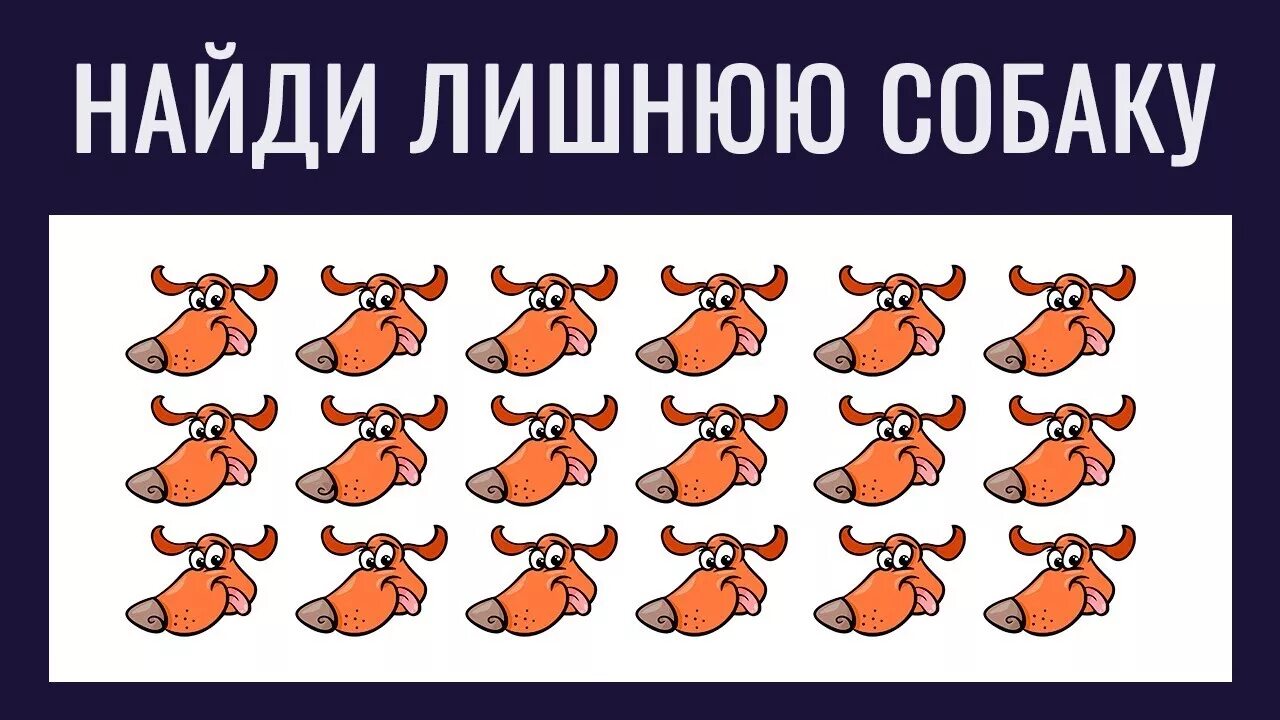 Найди ответ