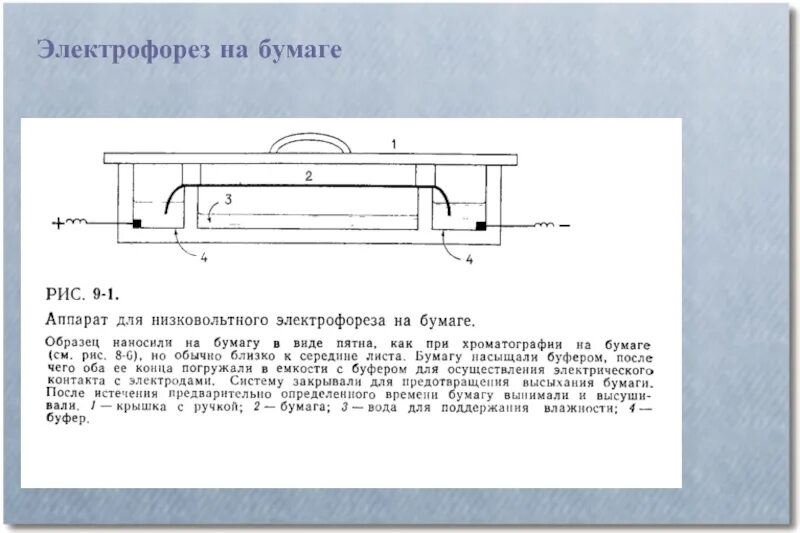 Тест песня электрофорез. Зональный электрофорез на бумаге. Схема аппарата электрофореза. Электрофорез аминокислот на бумаге. Аппарат для электрофореза на бумаге.