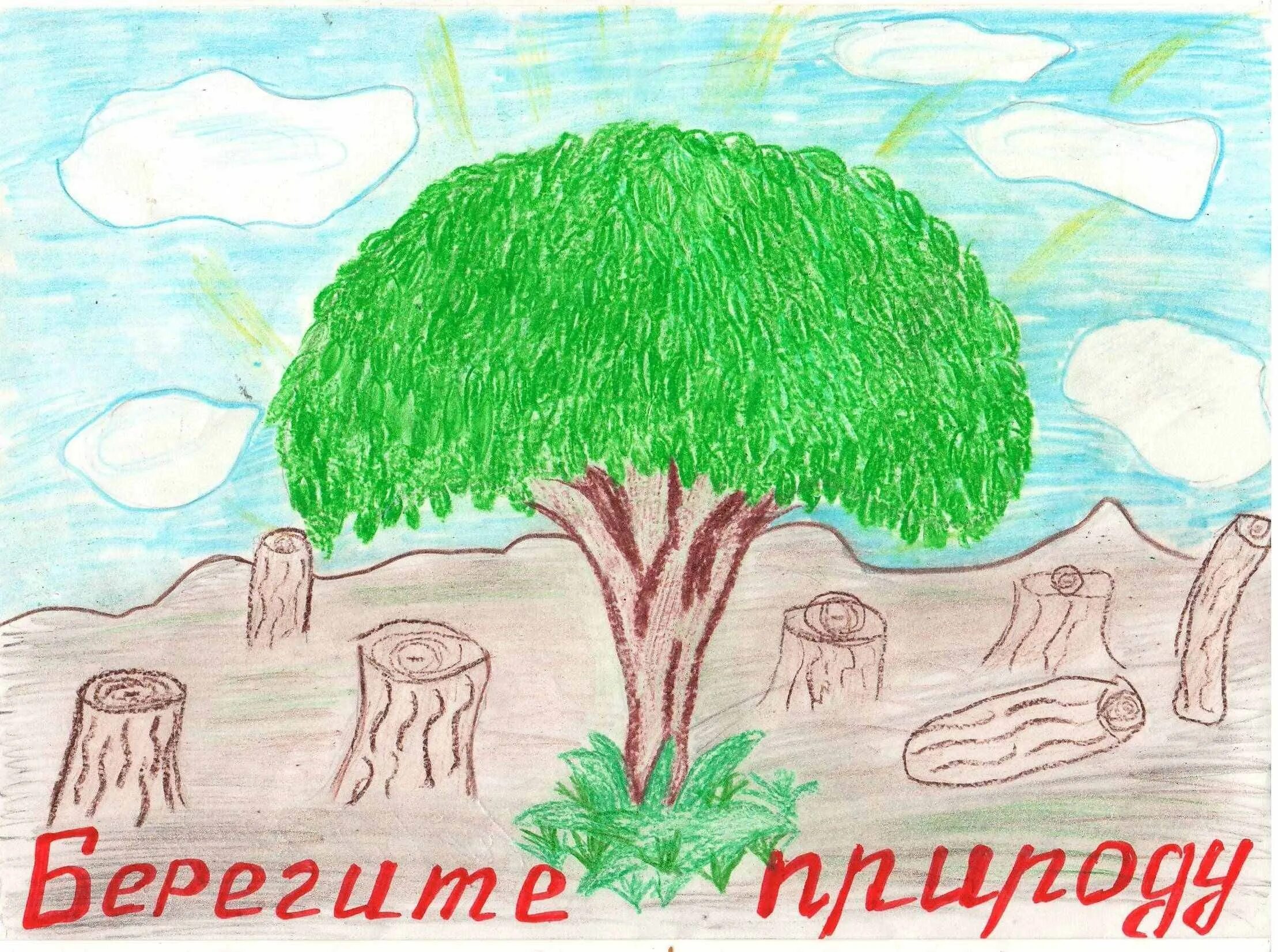 В защиту родной природы. Рисунок на тему береги природу. Рисунок на тему природа легкий. Рисунок на тему сохранение природы. Плакат берегите природу.