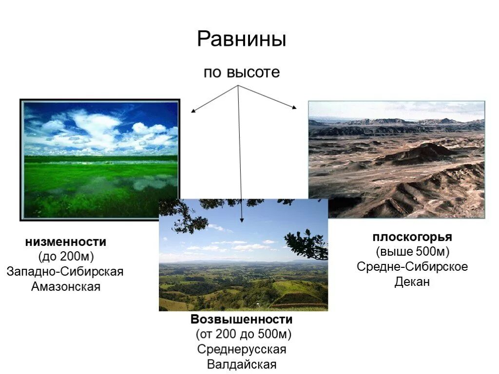 Средние формы равнин. Равнины по высоте. Высота равнин. Равнины низменности. Равнины низменности возвышенности и Плоскогорья.