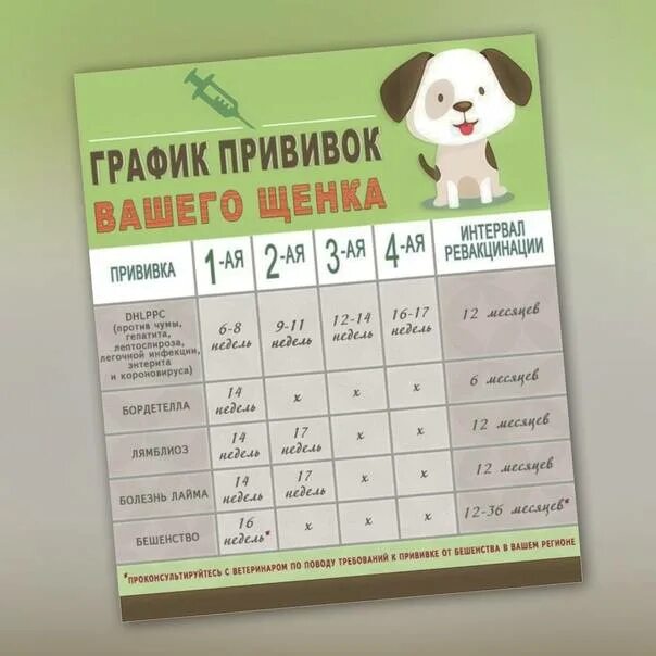 График прививок для собак таблица. Какую прививку делают щенку в 1 месяц. Первая вакцинация щенка в 2 месяца. График прививок для щенков.