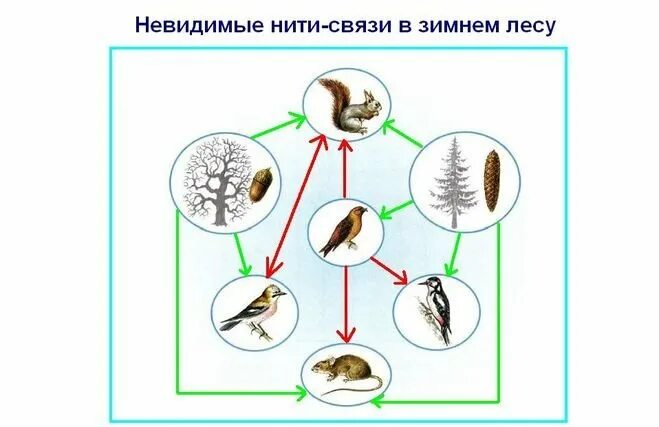 Модель невидимые нити окружающий мир. Рассказ о невидимых нитях. Рассказ 2 класс окружающий мир. Невидимые нити 2 класс окружающий мир примеры. Невидимые нити между природой и человеком.