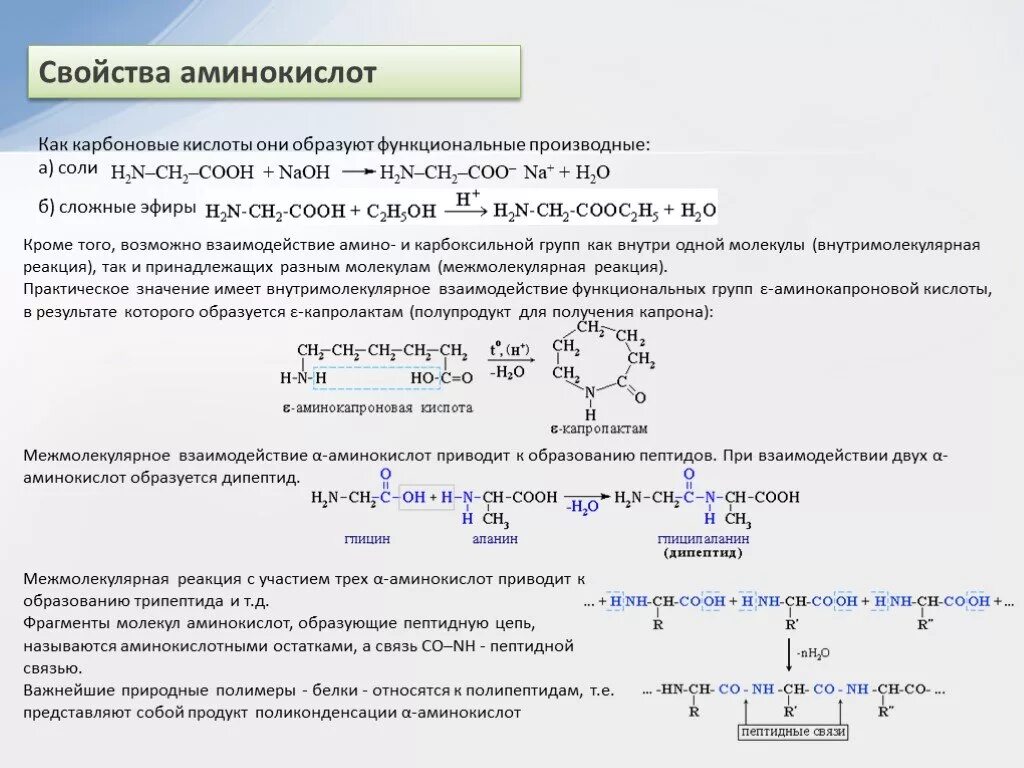 Аминокислоты взаимодействие с основаниями и кислотами. Взаимодействие аминокислот с аминами реакция. Взаимодействие аминокислот с аминокислотами. Взаимодействие аминокислот с карбоновыми кислотами.