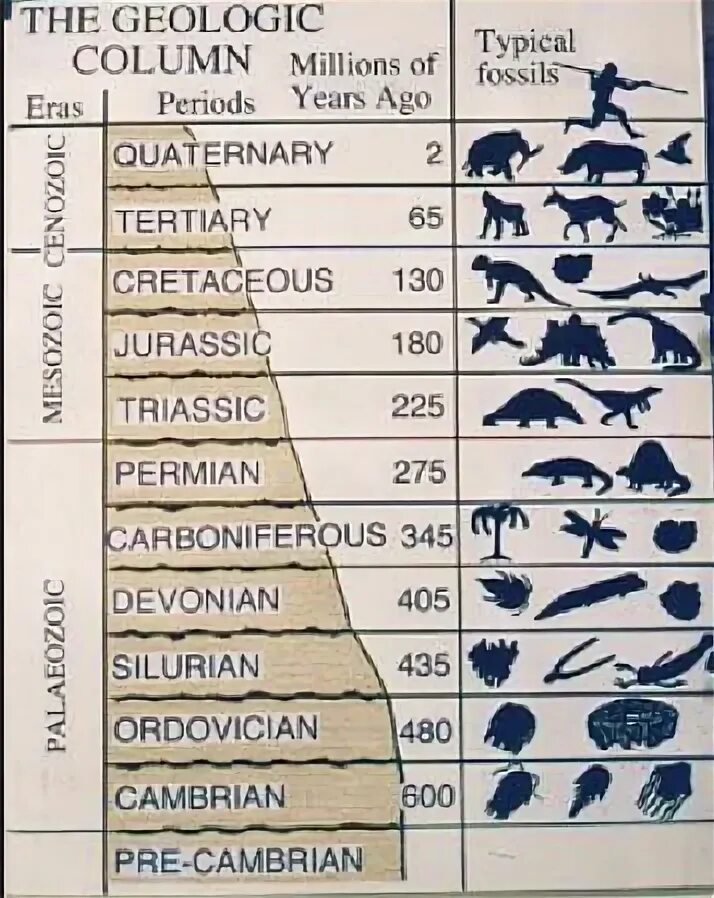 Geological column. Geologic. Лук geologic.