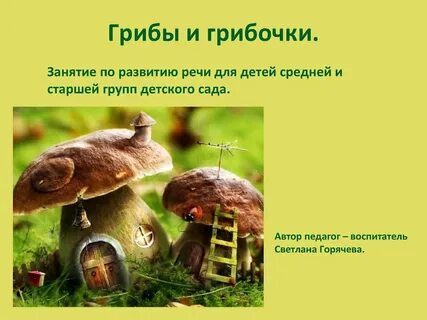Занятие в детском саду грибы